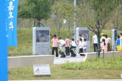 让旅客正在趣味互